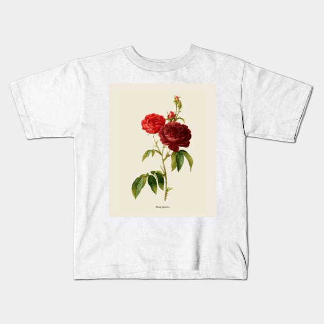 Purple Rose Antique Botanical Illustration Kids T-Shirt by Antiquated Art